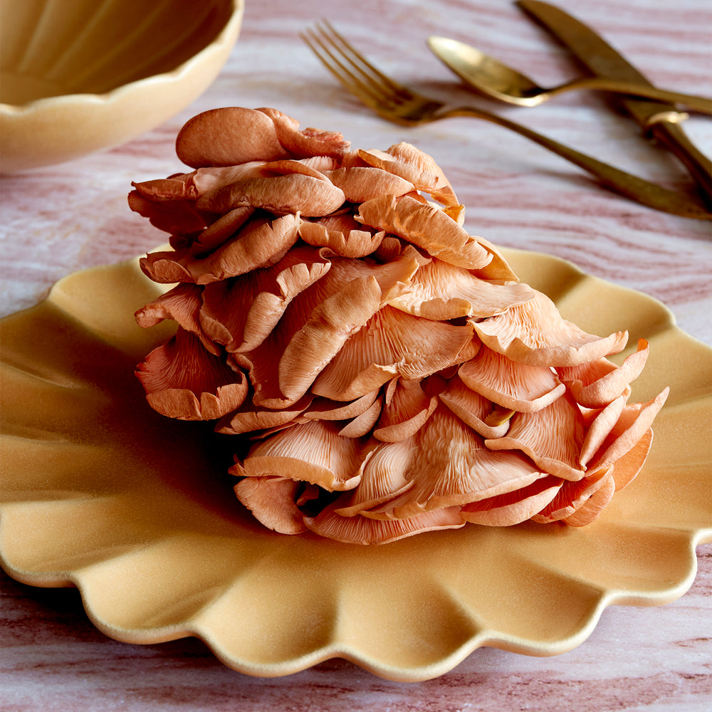 Lemieux et Cie Dhalia Stoneware Salad Plate in camel, scalloped dinner plate styled with flatware on pink marble surface.