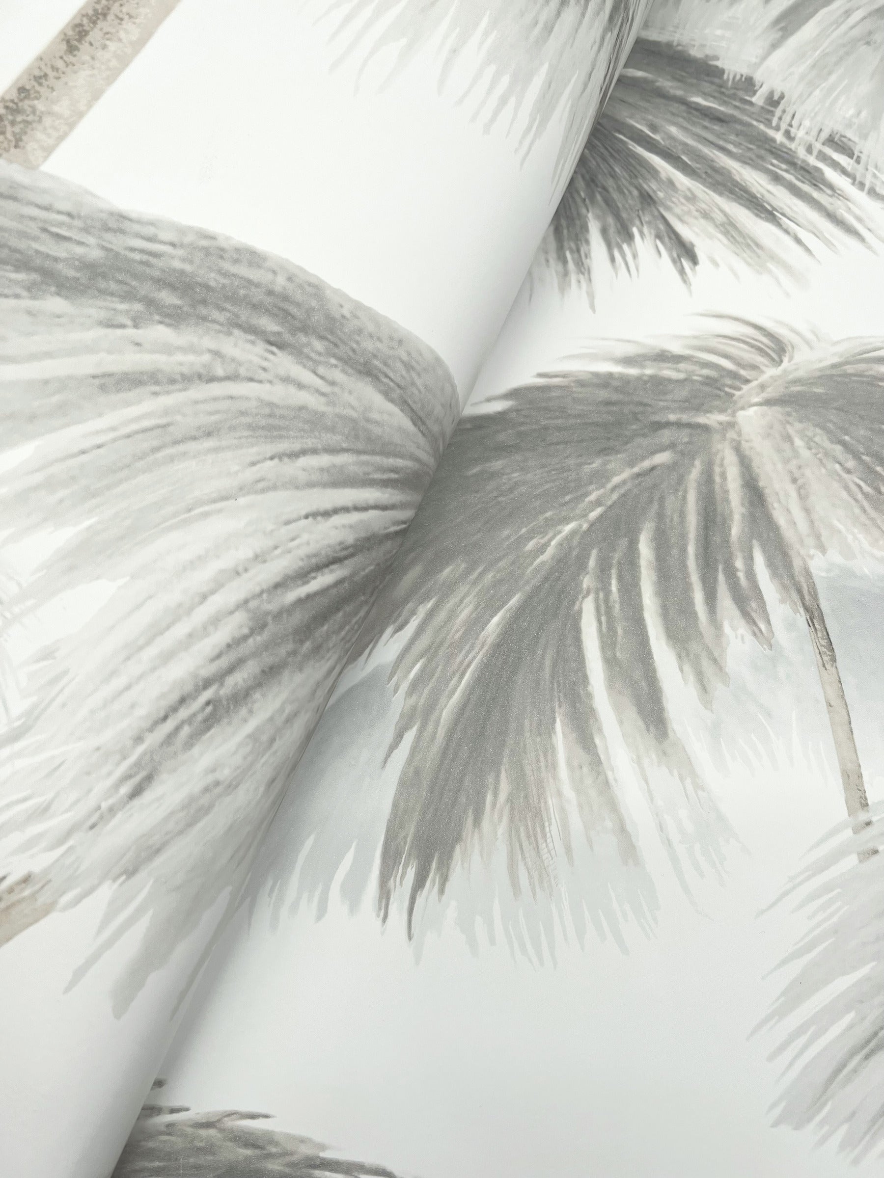 Plein Air Palms Wallpaper (Black & White)