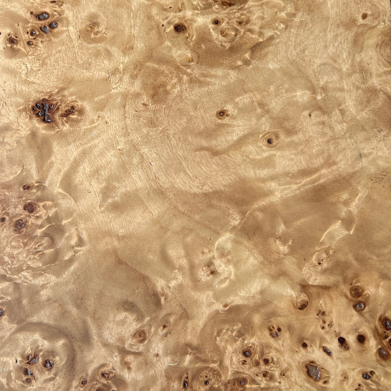 Lemieux et Cie Mappa Burl Wood Finish Swatch, warm honey-toned veneer with organic figuring and characteristic burl eyes, shown on white studio backdrop.