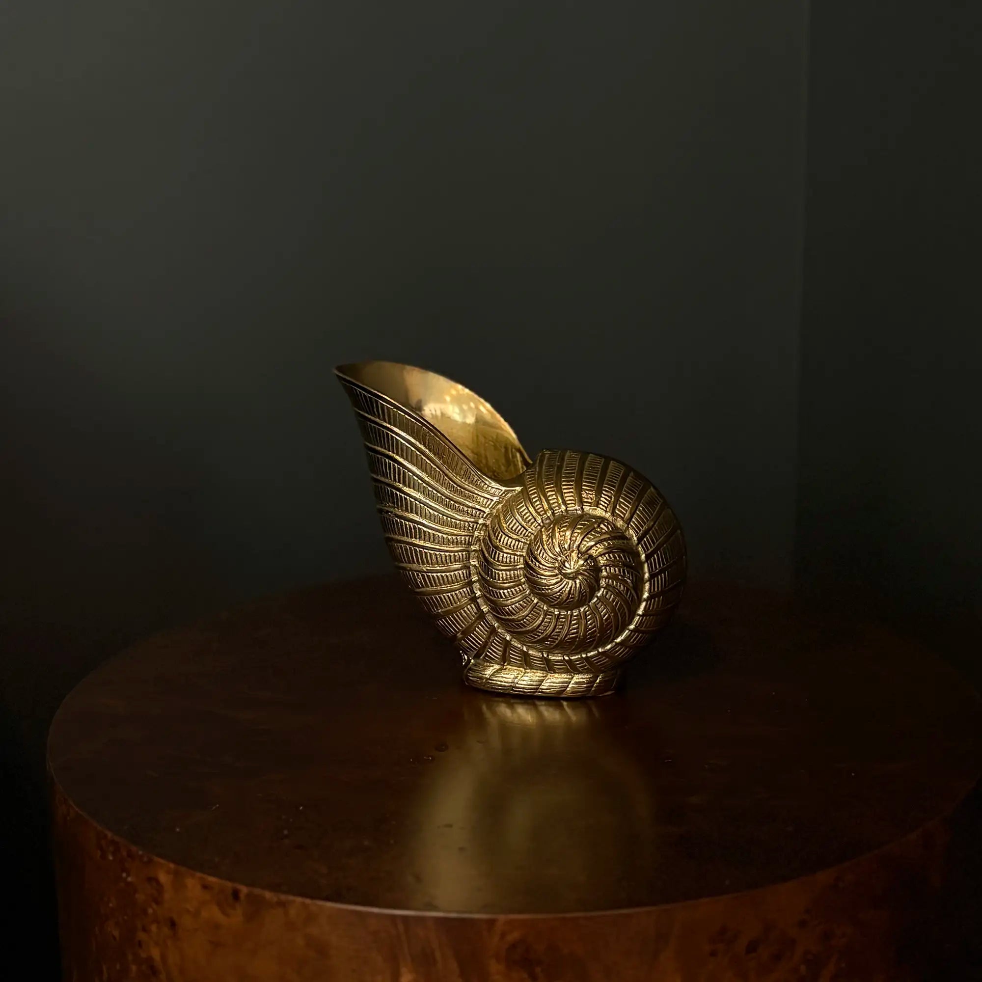 Vintage solid brass nautilus shell vase
