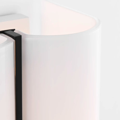 Lemieux et Cie Cheverny long sconce in aged iron shown close up highlighting the spine, backplate, and shade edge.