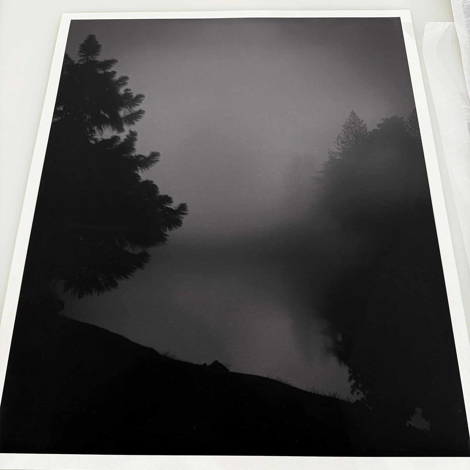 Lemieux et Cie Algonquin Limited Edition Art Photograph, monochromatic forest landscape with silhouetted pines in mist, shown on white gallery wall.
