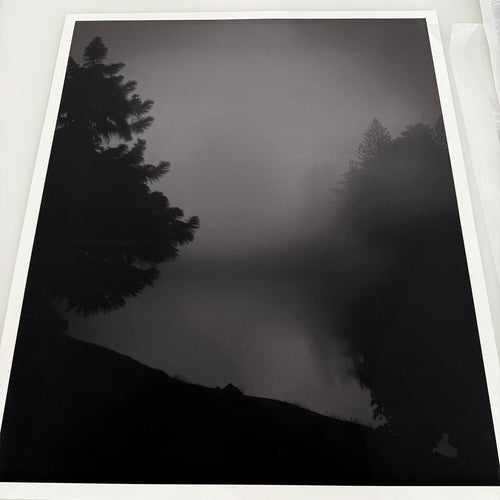 Lemieux et Cie Algonquin Limited Edition Art Photograph, monochromatic forest landscape with silhouetted pines in mist, shown on white gallery wall.