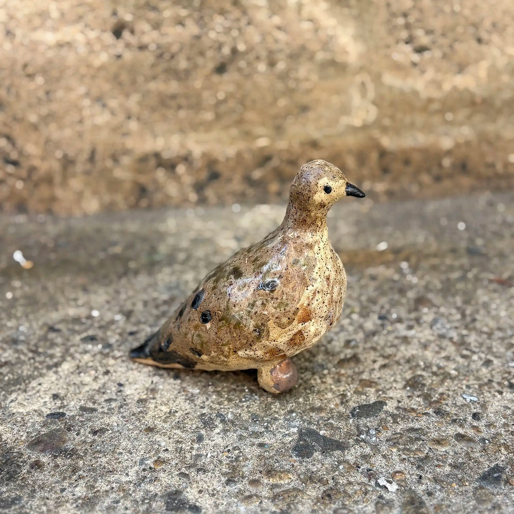 Artist-made figural Mourning Dove Sculpture