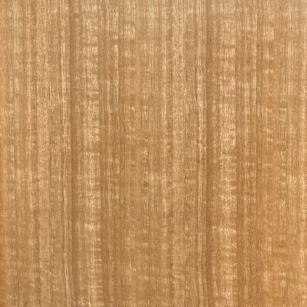 Lemieux et Cie Champagne Eucalyptus Finish Swatch in warm golden tone with linear striations, veneer material swatch shown on white backdrop.