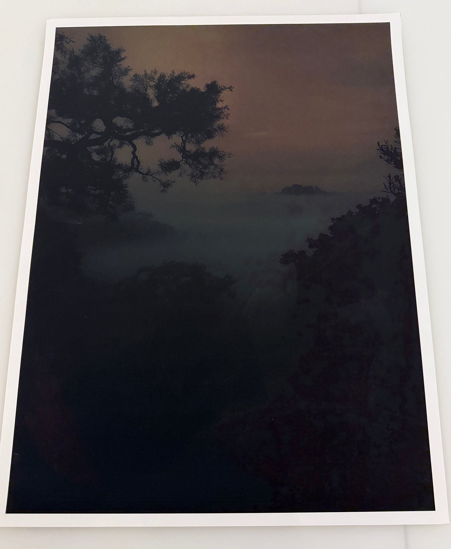Lemieux et Cie Otaru Limited Edition Art Photograph, fine art print depicting misty twilight landscape with silhouetted trees, shown framed against neutral wall.