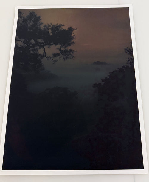 Lemieux et Cie Otaru Limited Edition Art Photograph, fine art print depicting misty twilight landscape with silhouetted trees, shown framed against neutral wall.