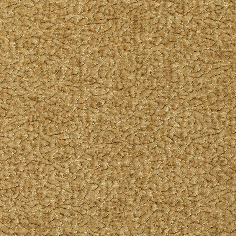 Kravet: Textured Solids