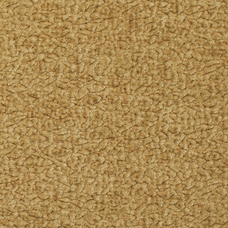 Kravet: Textured Solids