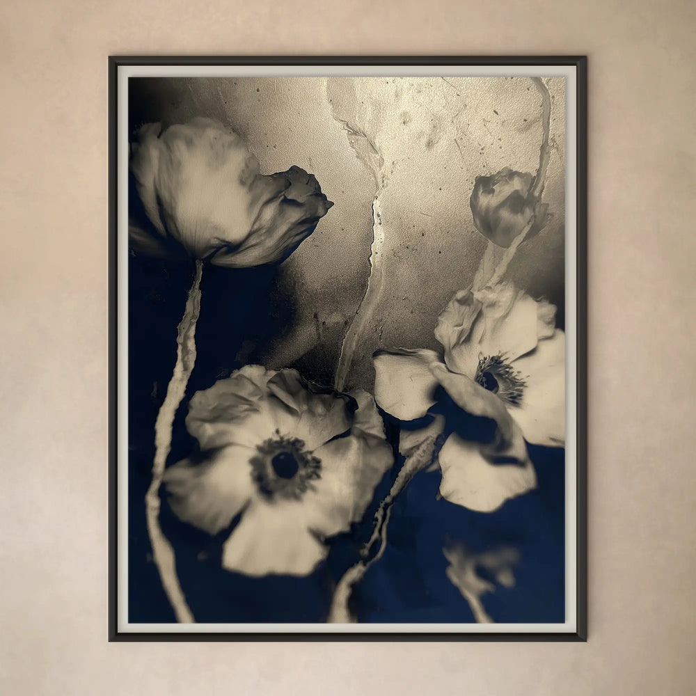 Herbier Deux Limited Edition Art Photography