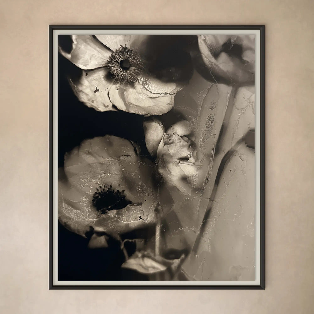Herbier Un Limited Edition Art Photography