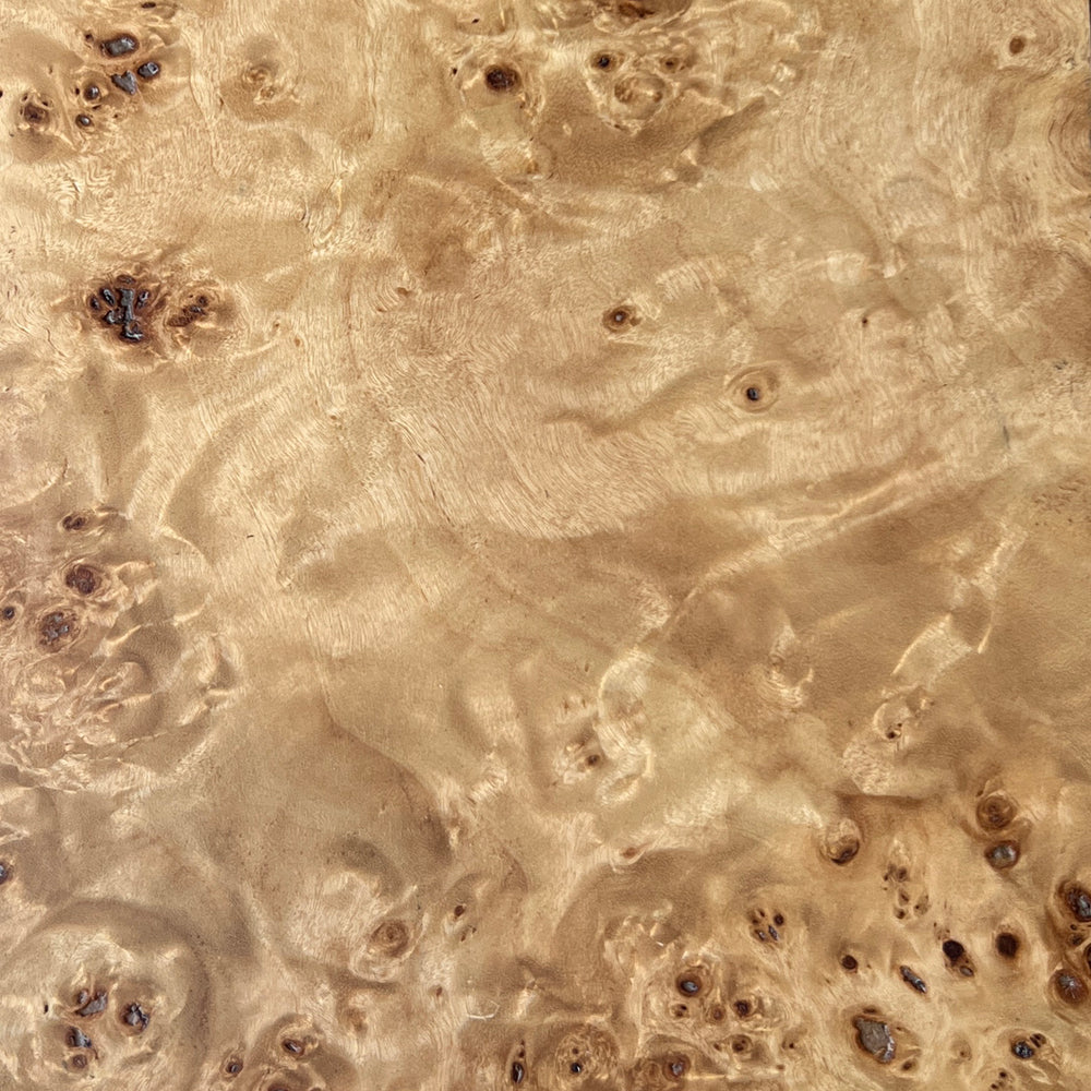 Lemieux et Cie Mappa Burl Wood Finish Swatch, warm honey-toned veneer with organic figuring and characteristic burl eyes, shown on white studio backdrop.