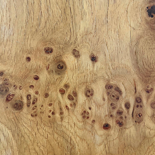 Oak Burl Wood Finish Swatch