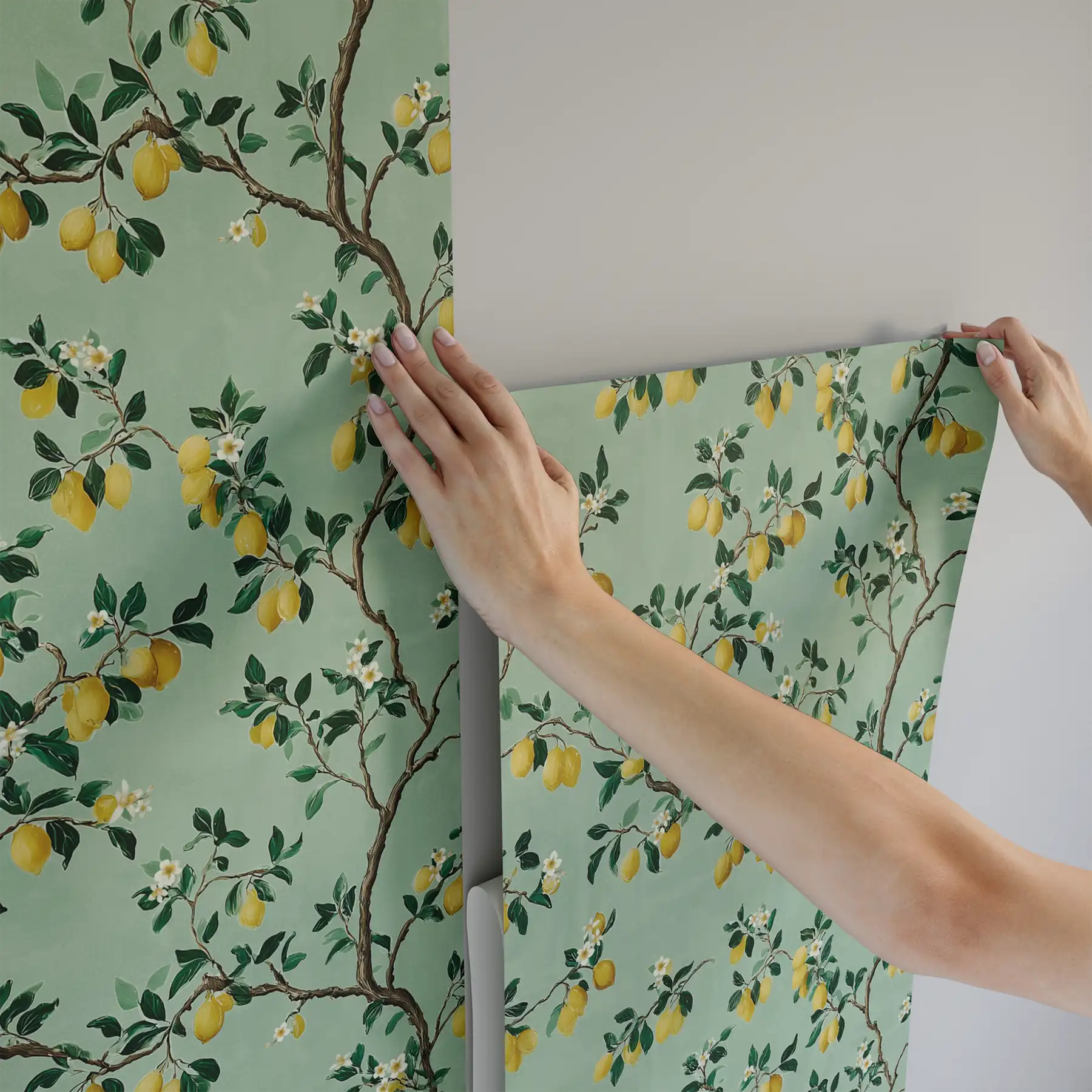 Citron Verts Wallpaper