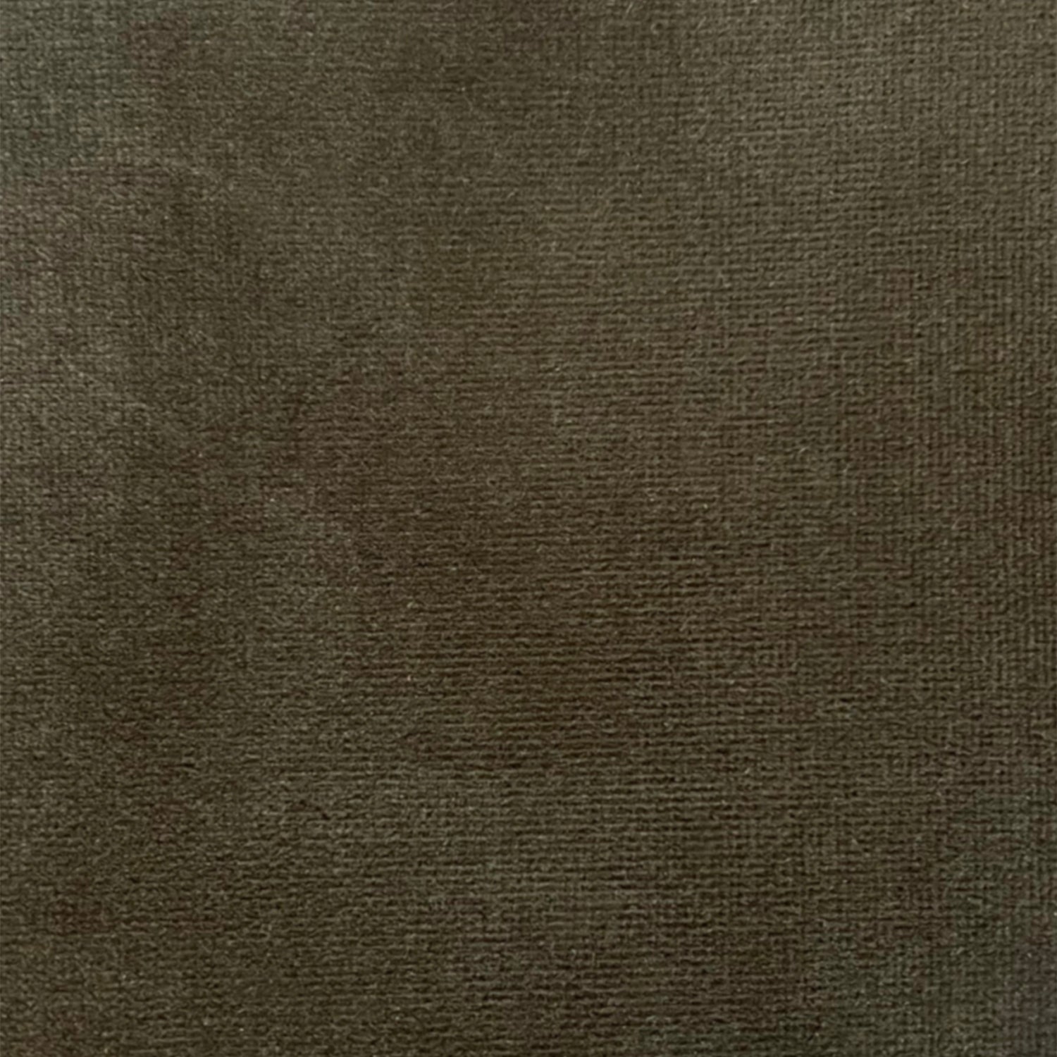 Cotton Velvets