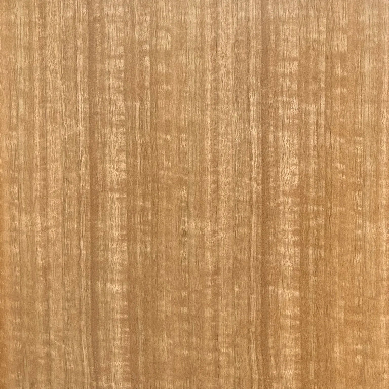 Lemieux et Cie Champagne Eucalyptus Finish Swatch in warm golden tone with linear striations, veneer material swatch shown on white backdrop.