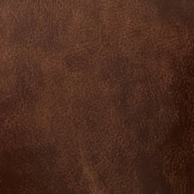 Aniline Leather Swatches